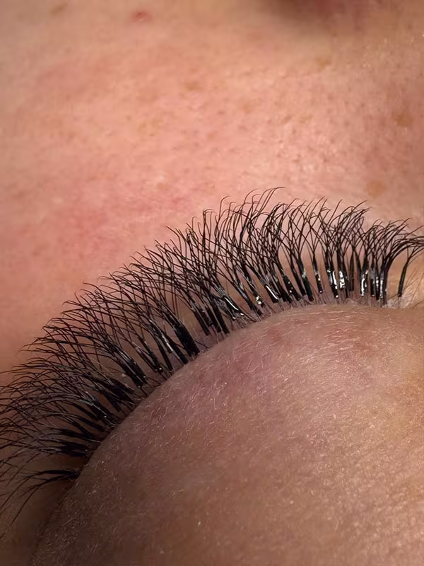 Nahaufnahme einer professionellen Soft Volumen Wimpernverlängerung mit weichen und gleichmäßigen Volumenfächern.