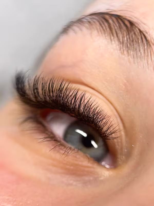 Nahaufnahme einer professionellen Volumen Wimpernverlängerung mit dichtem und gleichmäßigem Wimpernkranz.